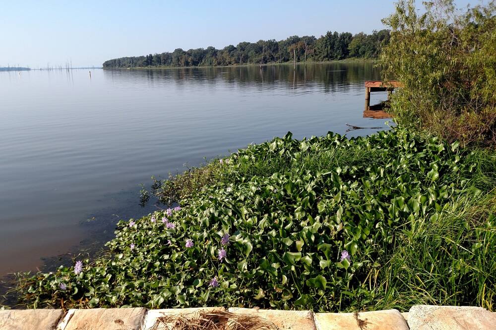 Photo of Outdoor in Yantis