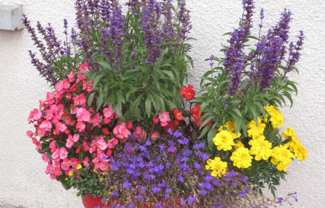 Photo of Outdoor in Saint-Martin-sous-Vigouroux