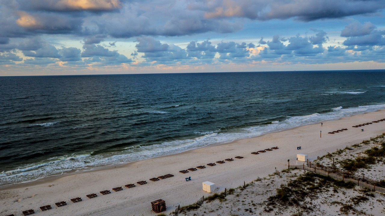 Photo of Others in Gulf Shores