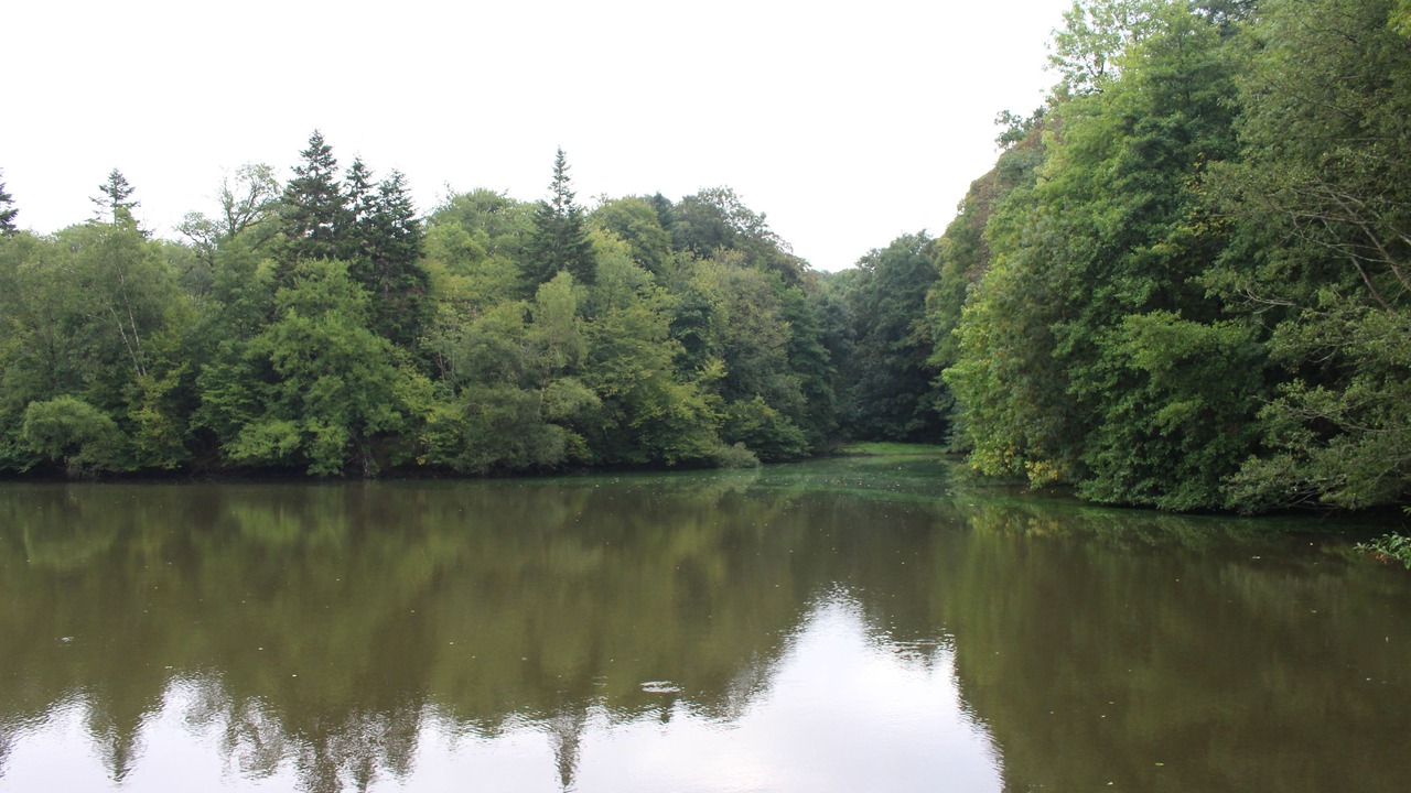 Photo of Outdoor in Treize-Vents
