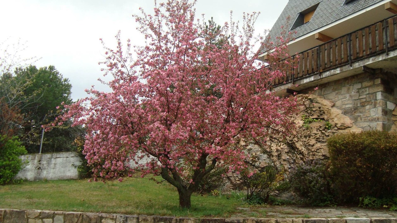 Photo of Outdoor in Miraflores de la Sierra