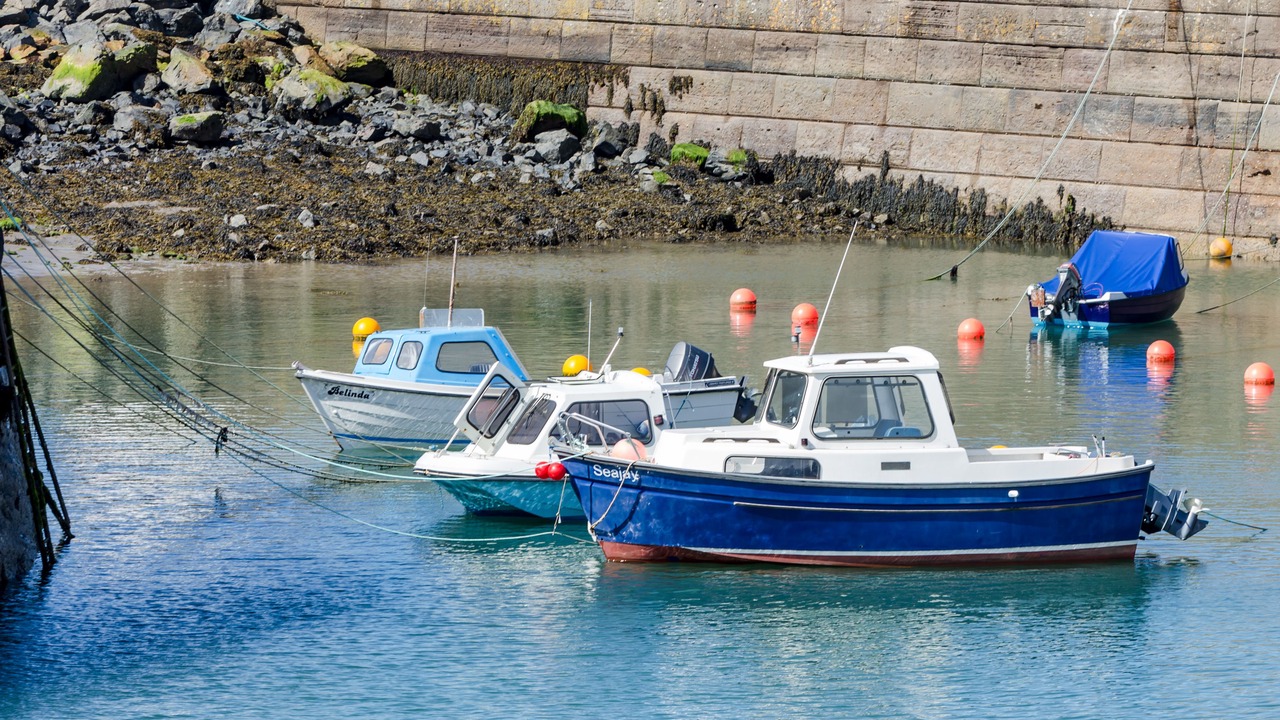 Photo of Others in Portpatrick