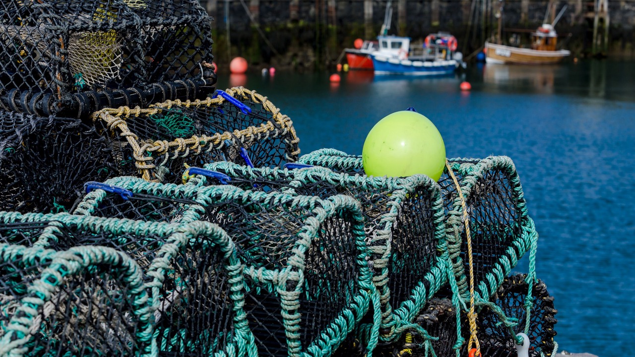 Photo of Others in Portpatrick