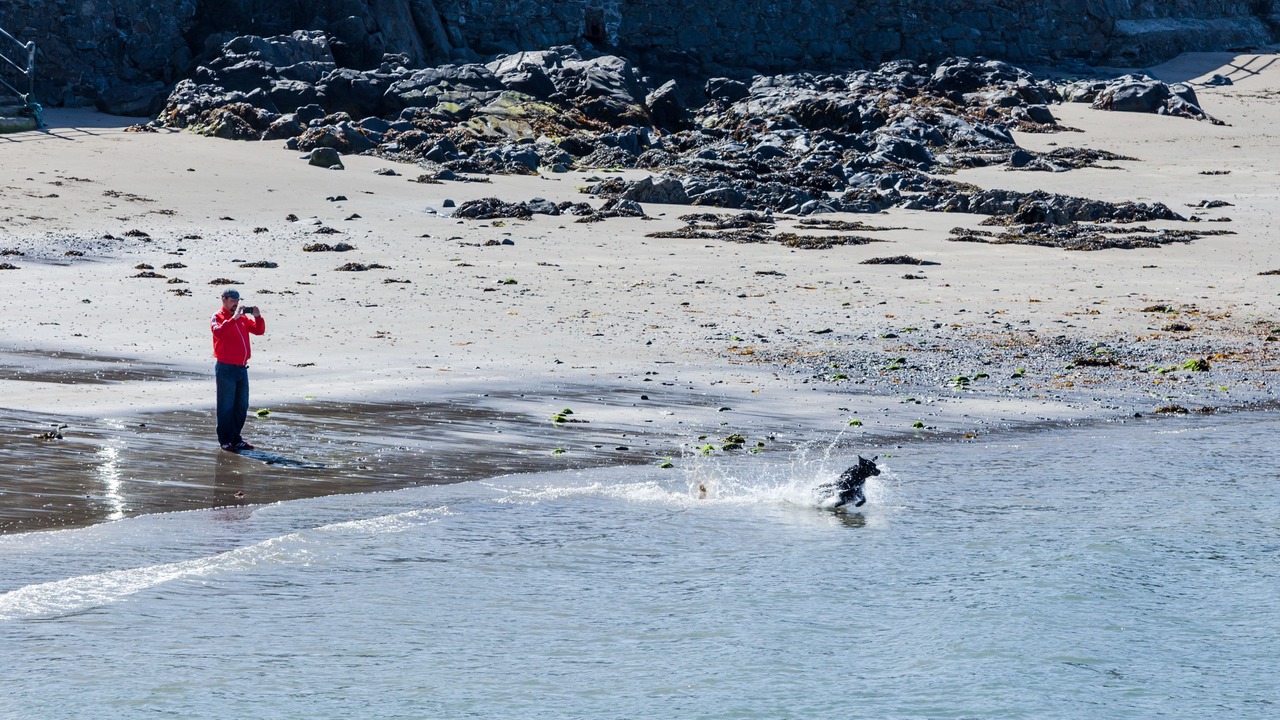 Photo of Others in Portpatrick