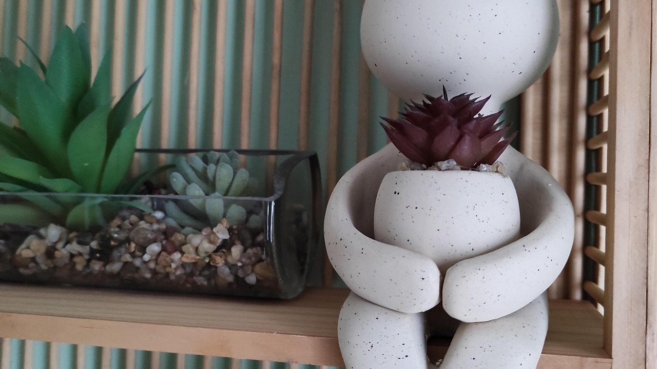 Photo of Others in Doue-en-Anjou