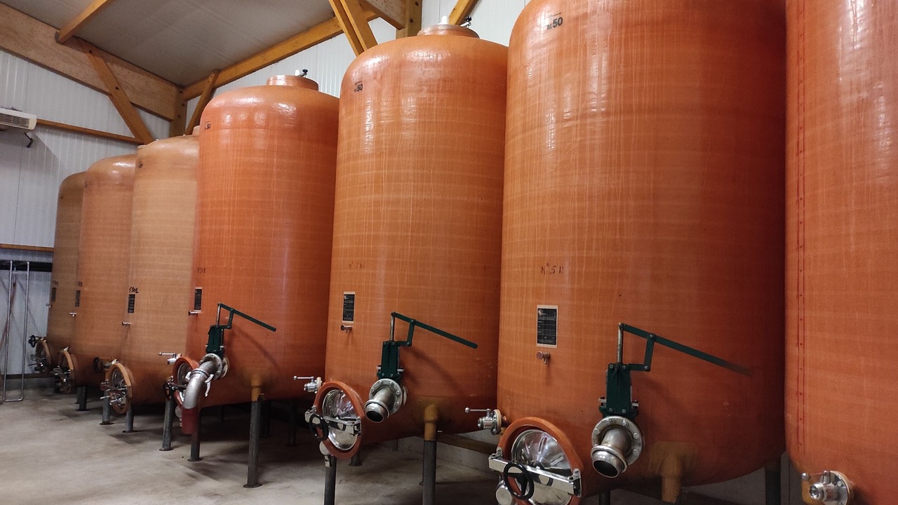 Photo of Others in Doue-en-Anjou