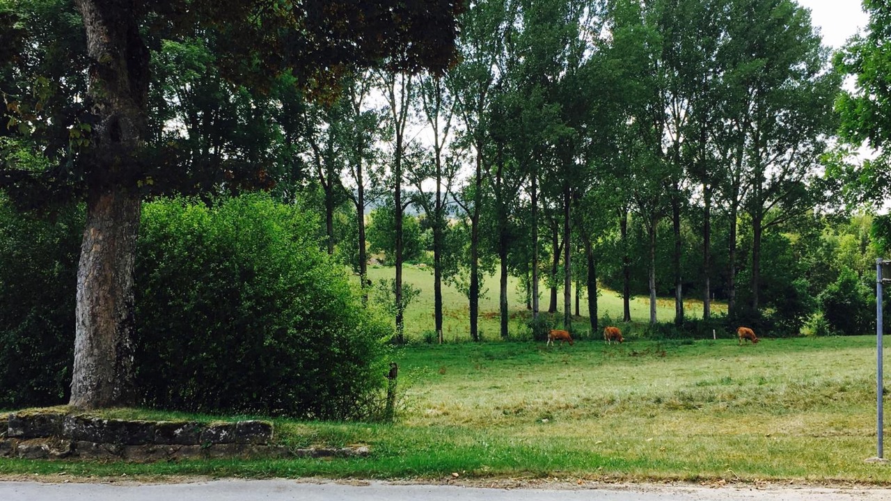 Photo of Outdoor in Issoncourt