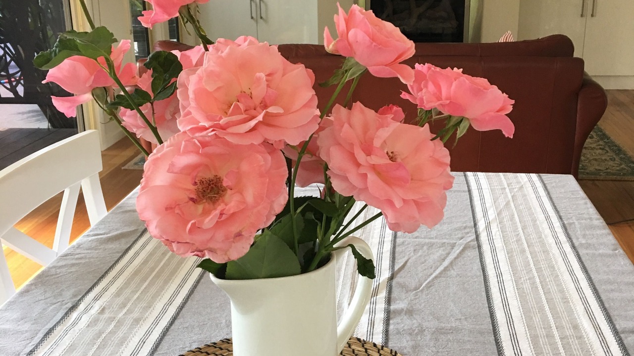 Photo of Others in Emerald