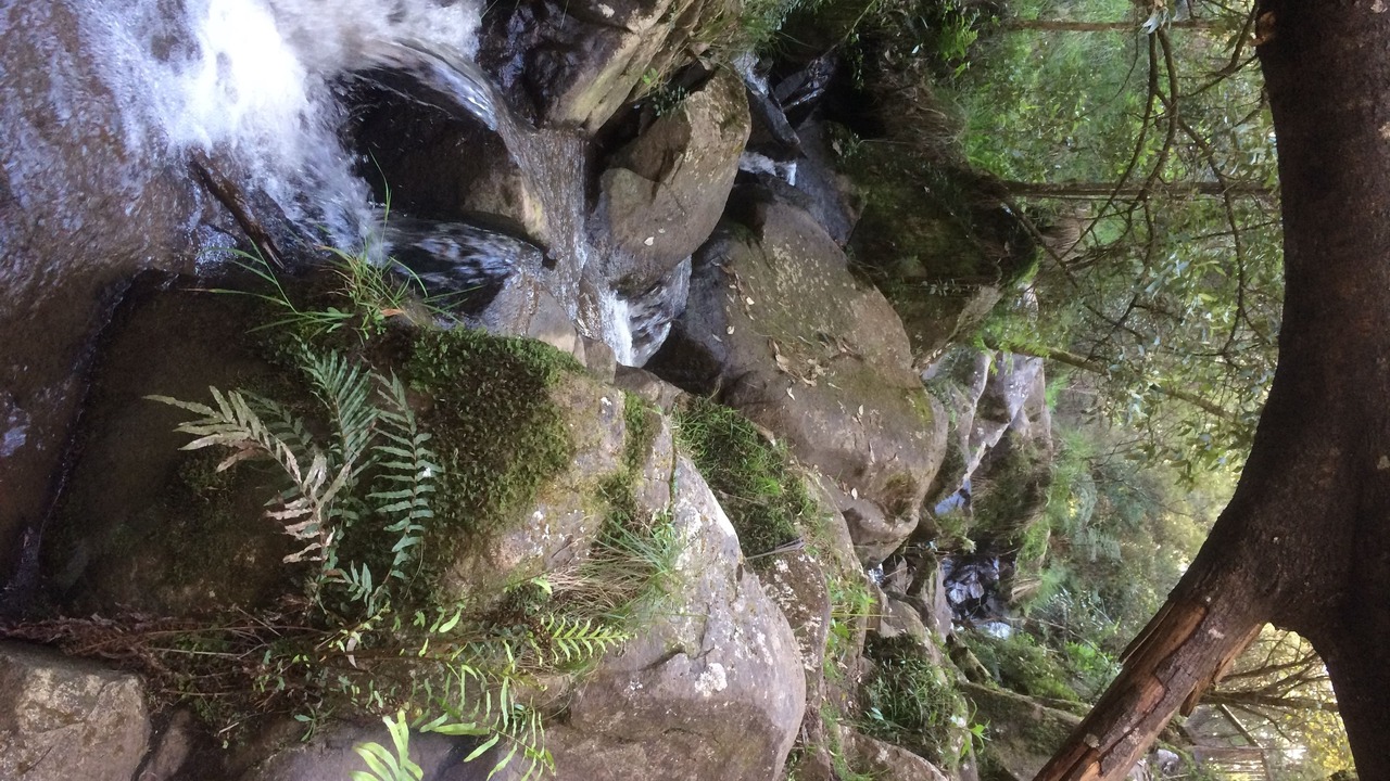 Photo of Others in Emerald