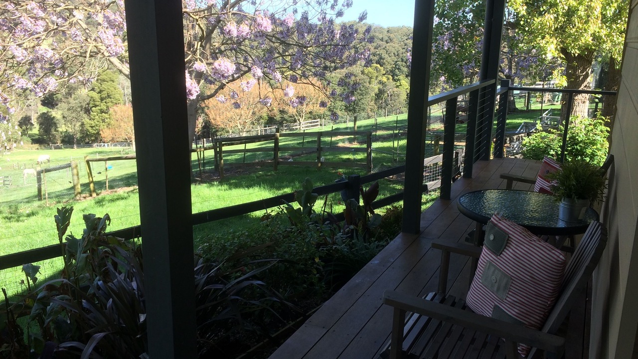 Photo of Patio Balcony in Emerald