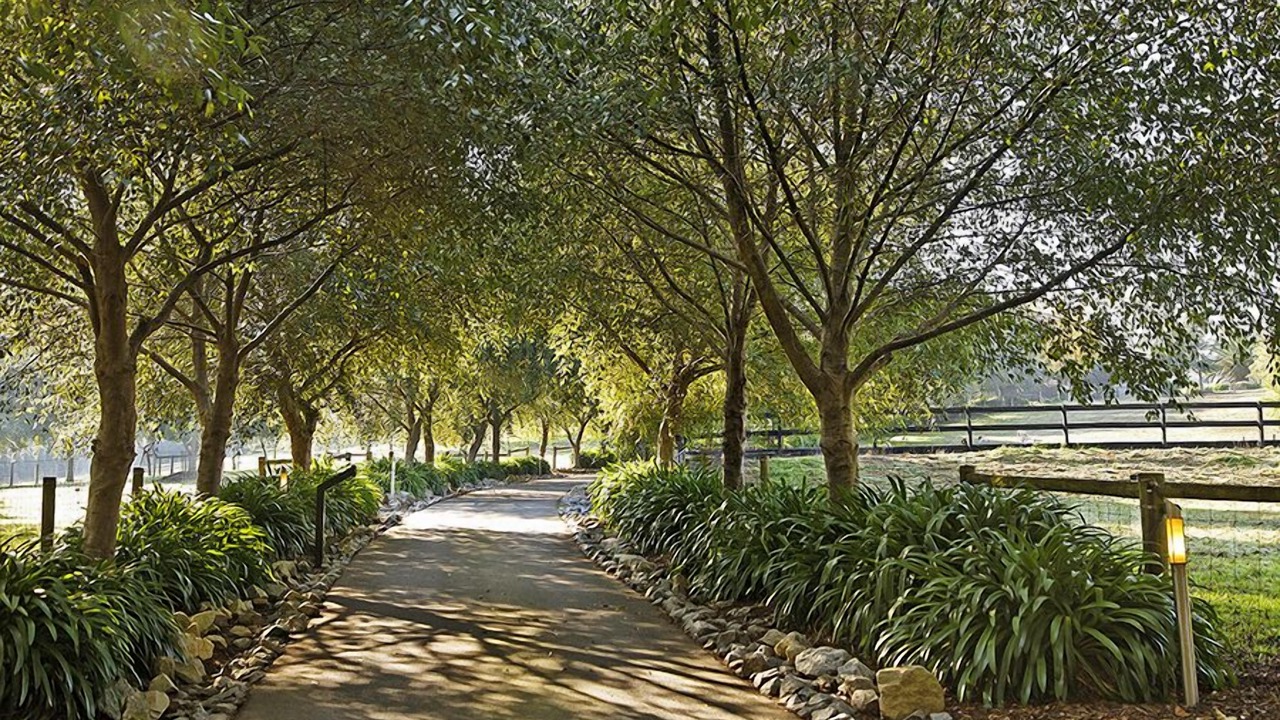 Photo of Outdoor in Emerald