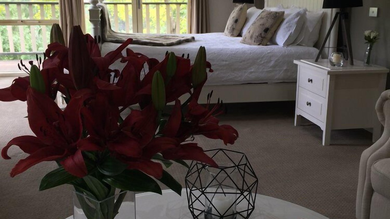 Photo of Others in Emerald