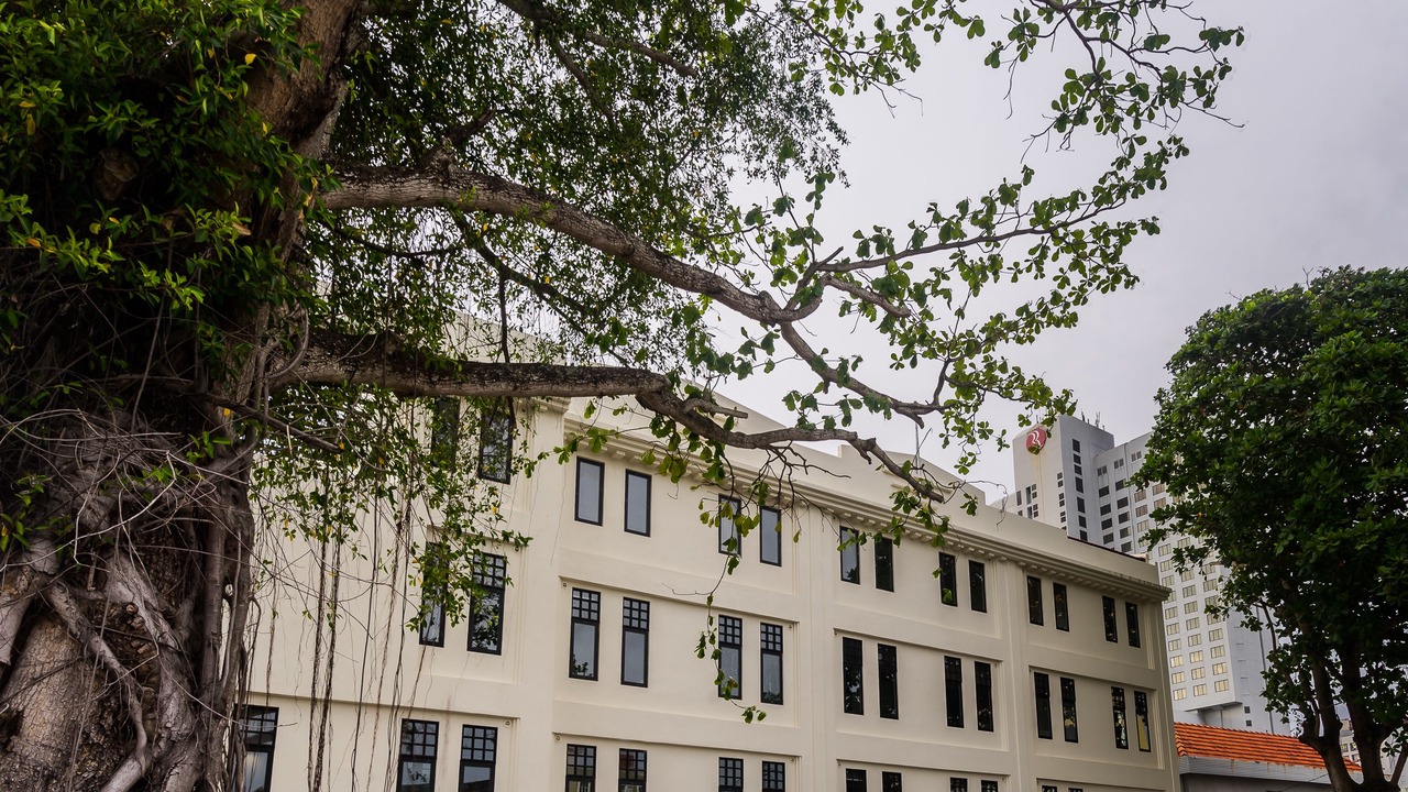 Photo of Outdoor in Malacca City