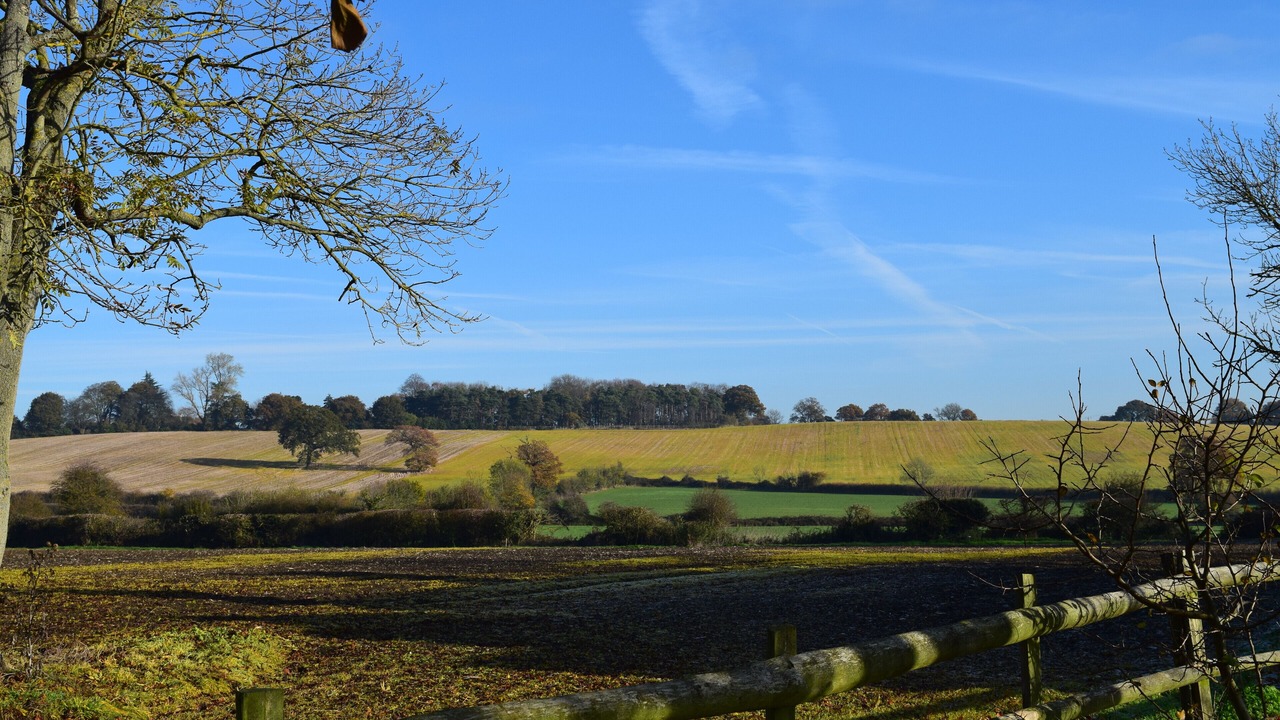 Photo of Outdoor in Ramsden Heath