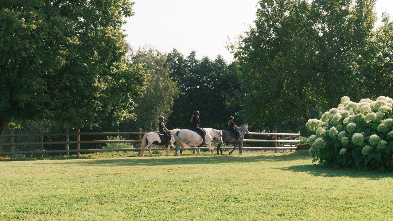 Photo of Others in Beauchamps