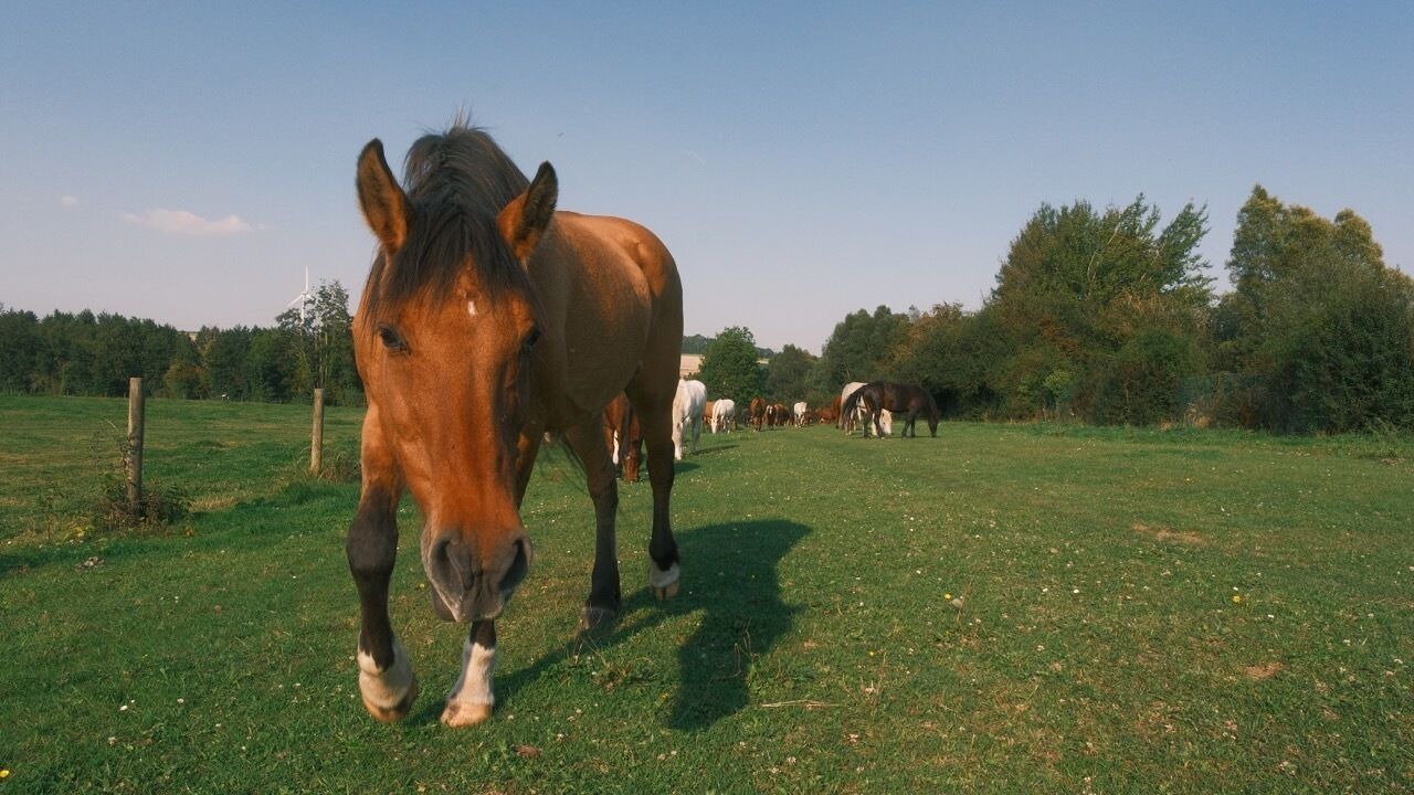 Photo of Others in Beauchamps