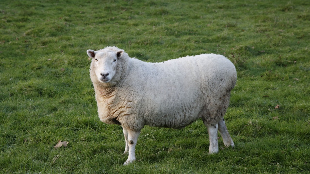 Photo of Others in Funtington