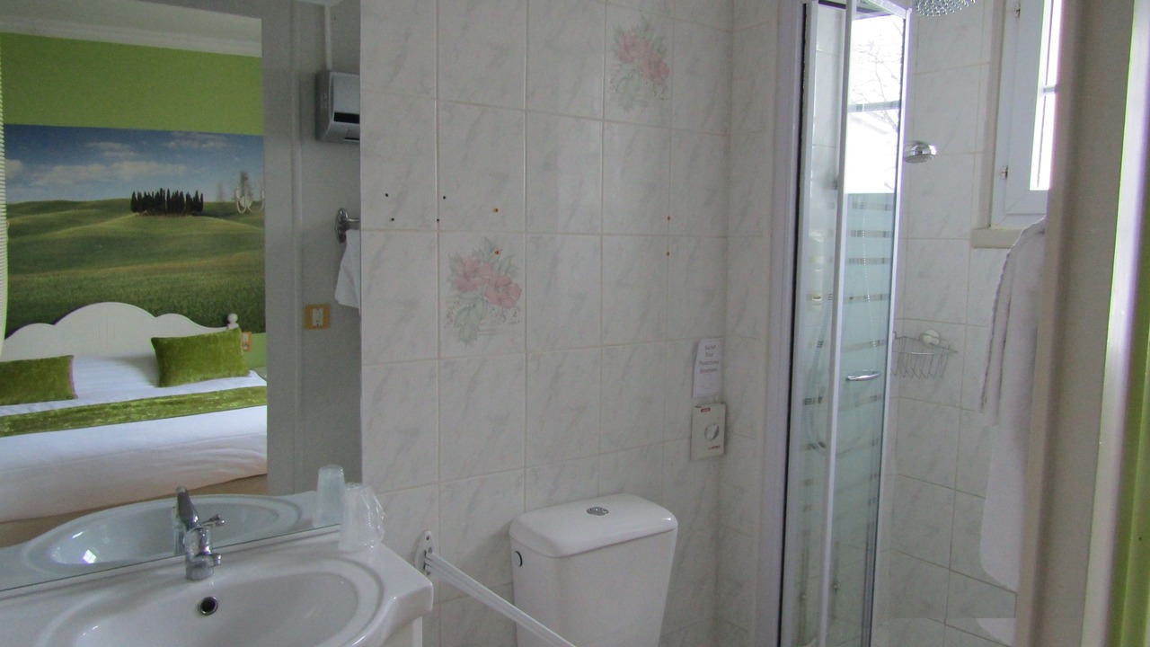 Photo of Bathroom in Mareuil-Sur-Lay-Dissais