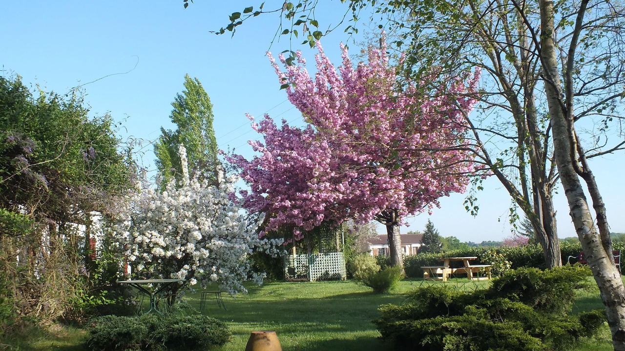 Photo of Outdoor in Mareuil-Sur-Lay-Dissais