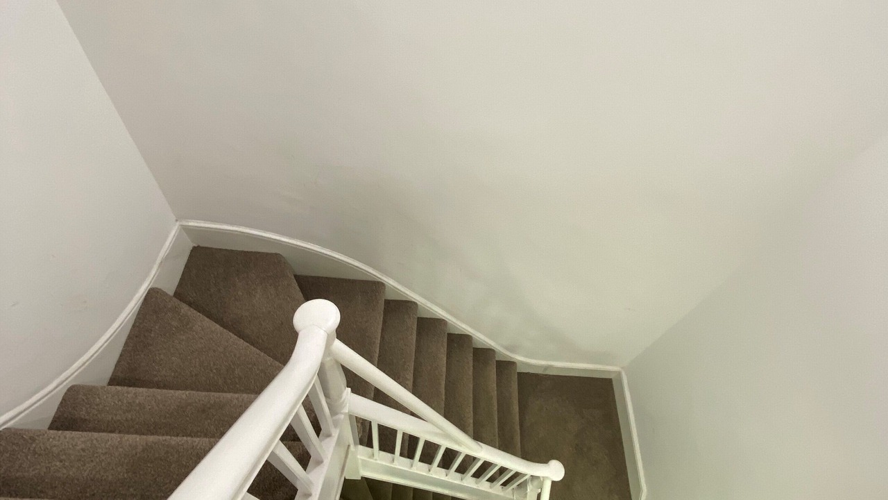 Photo of Others in Chatham