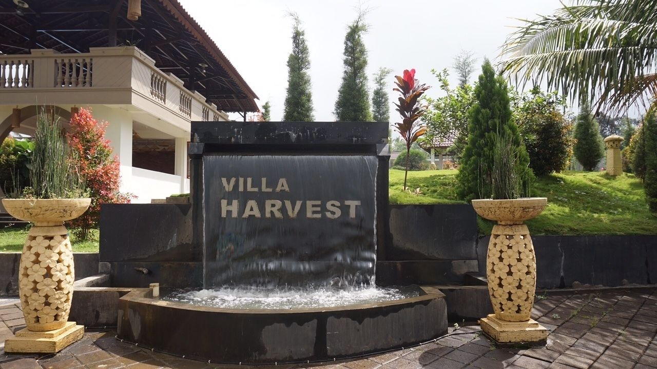 Photo of Outdoor in Banyuwangi