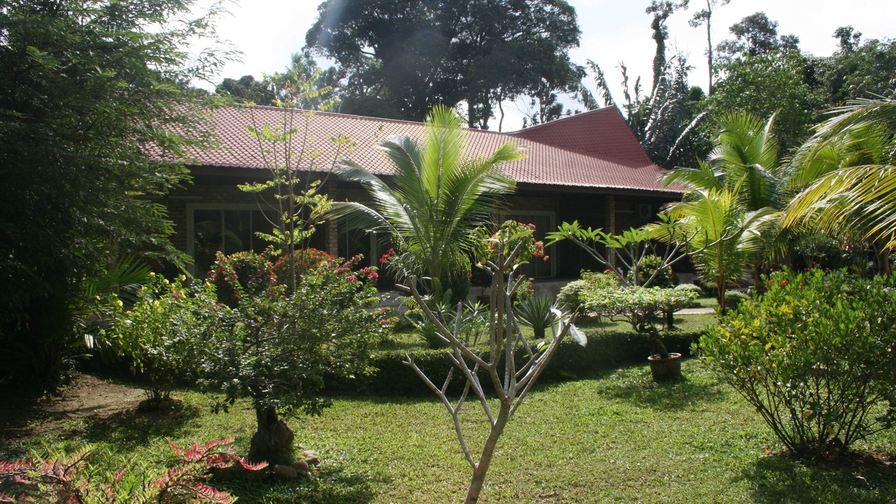 Photo of Outdoor in Kuala Tahan