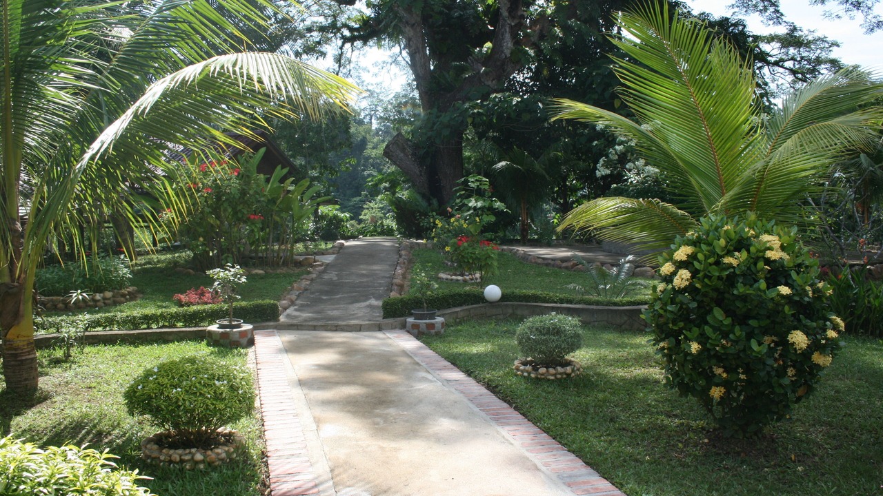 Photo of Outdoor in Kuala Tahan