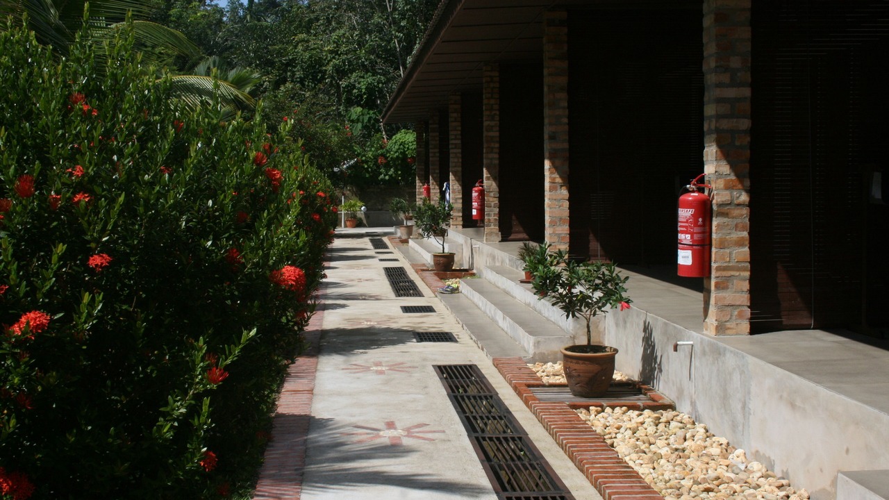 Photo of Outdoor in Kuala Tahan