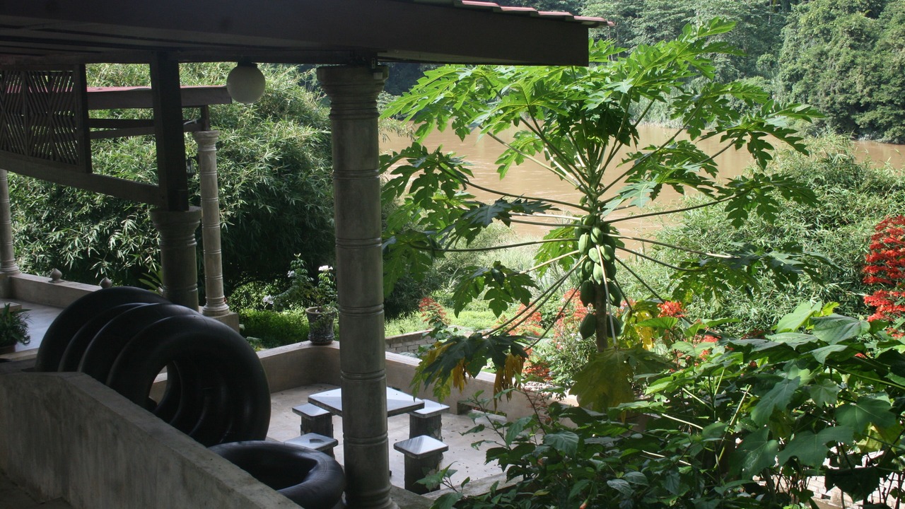 Photo of Outdoor in Kuala Tahan
