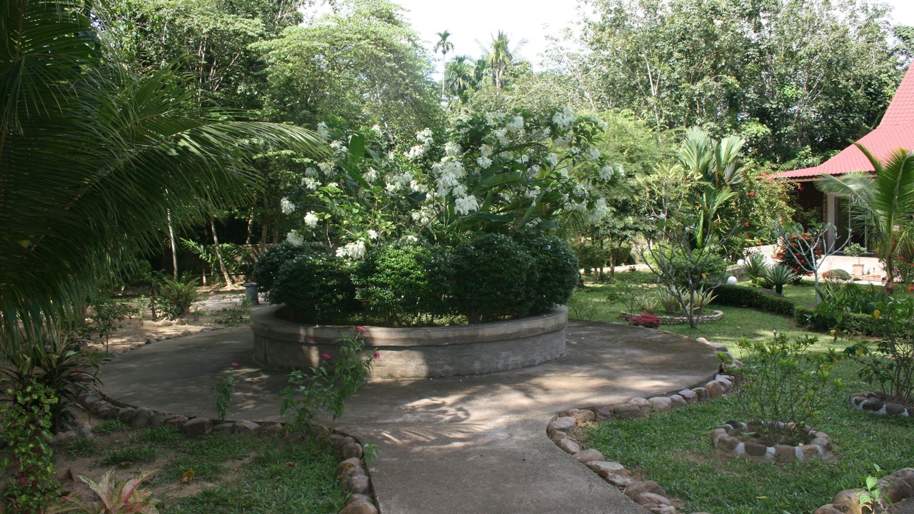 Photo of Outdoor in Kuala Tahan