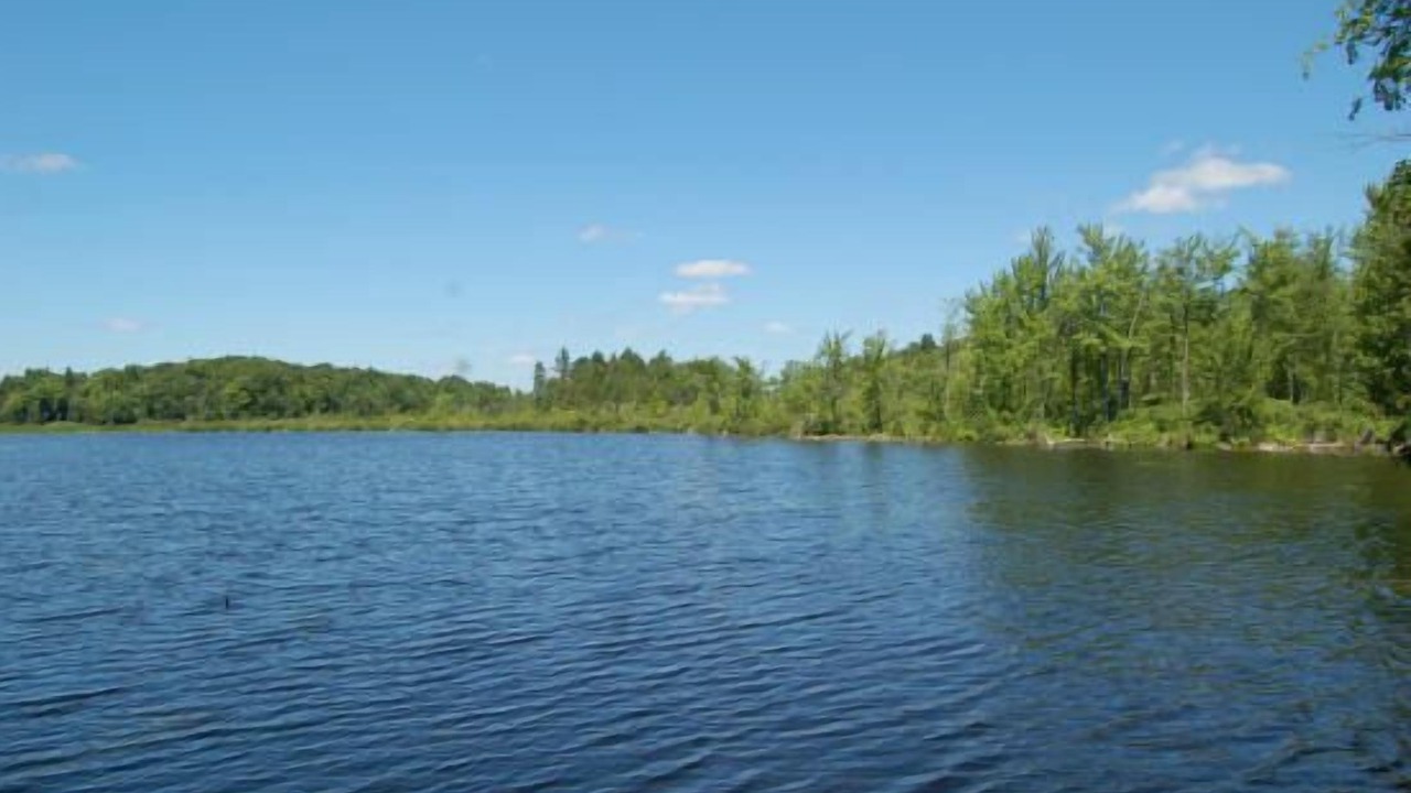Photo of Outdoor in Rideau Lakes