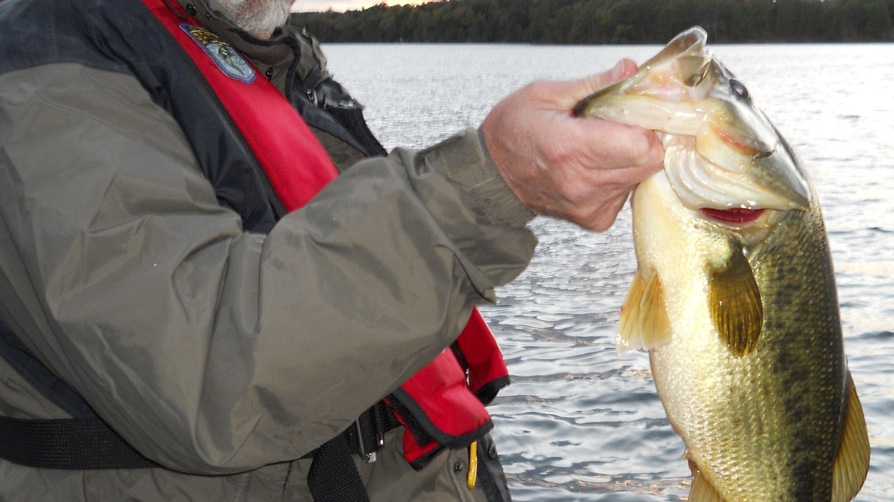 Photo of Others in Rideau Lakes