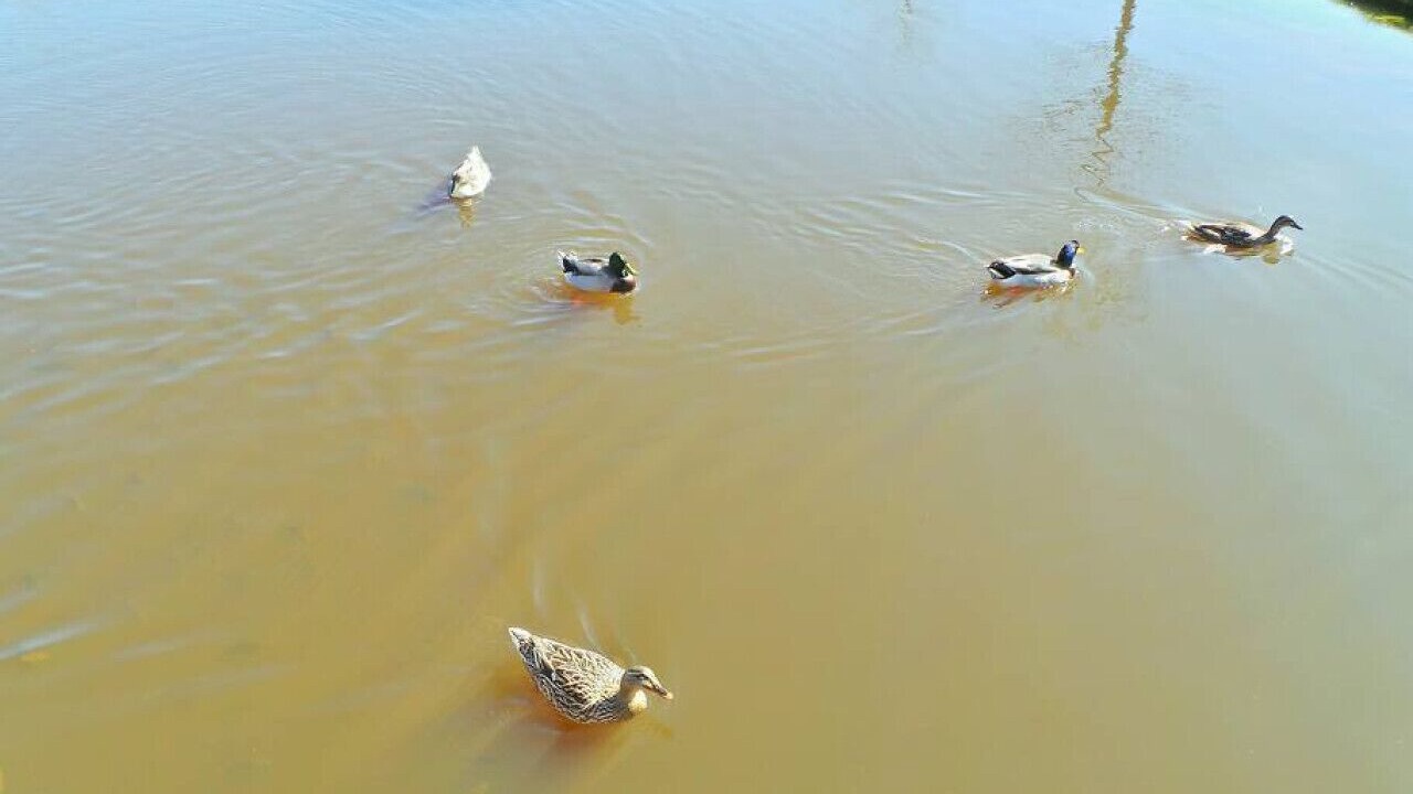 Photo of Others in College Station