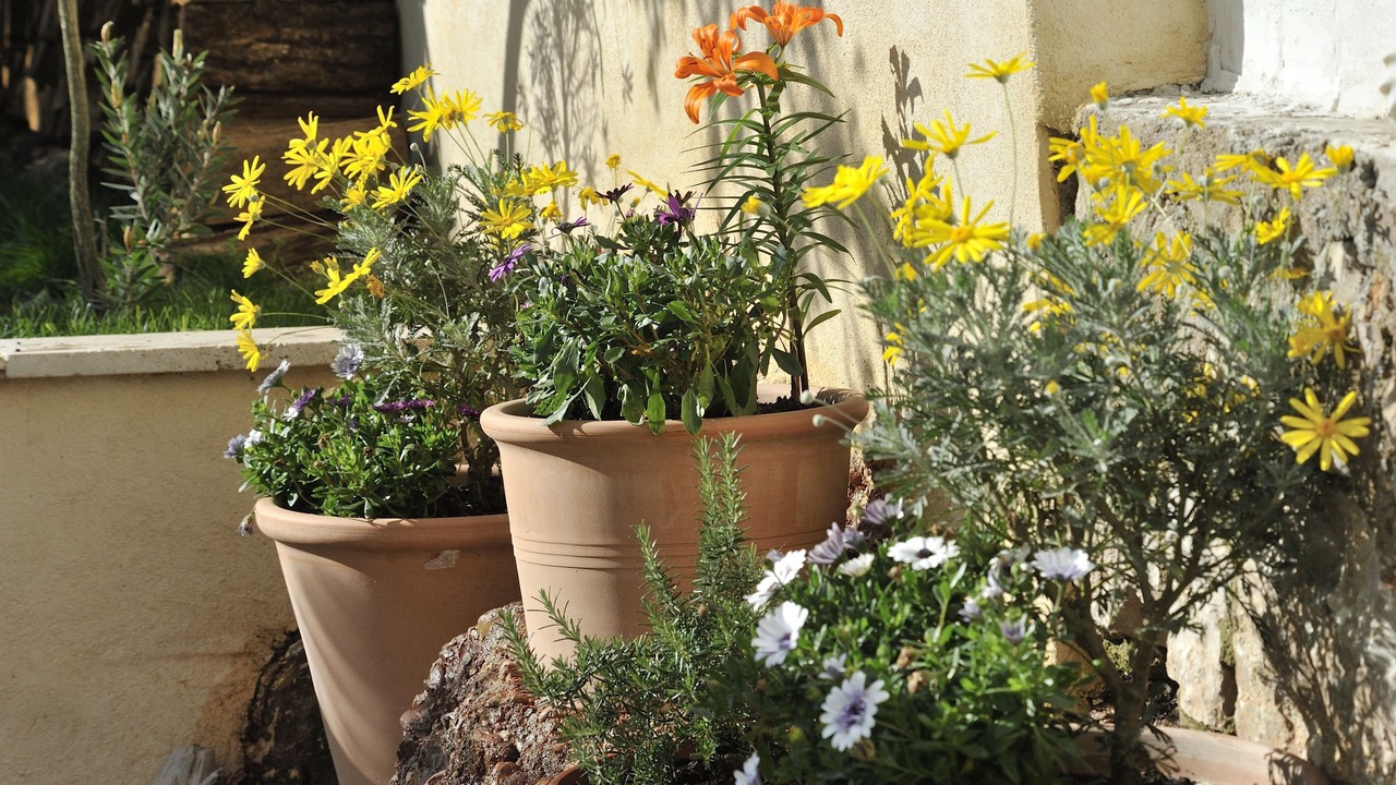 Photo of Outdoor in Riou - Petit Juas - Av de Grasse