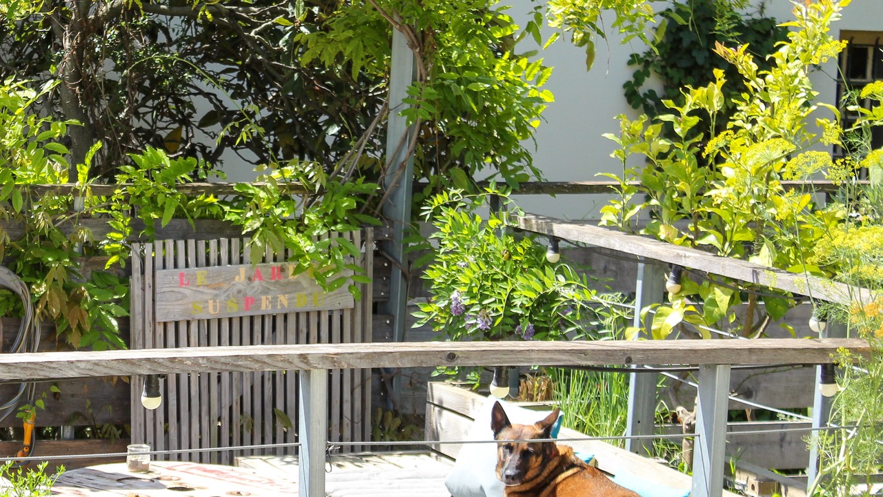 Photo of Others in Riou - Petit Juas - Av de Grasse