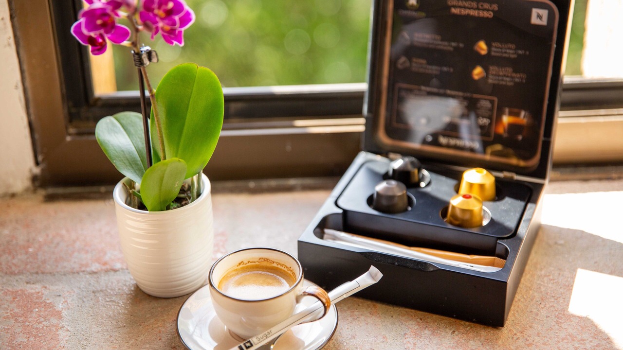 Photo of Bedroom in Madieres