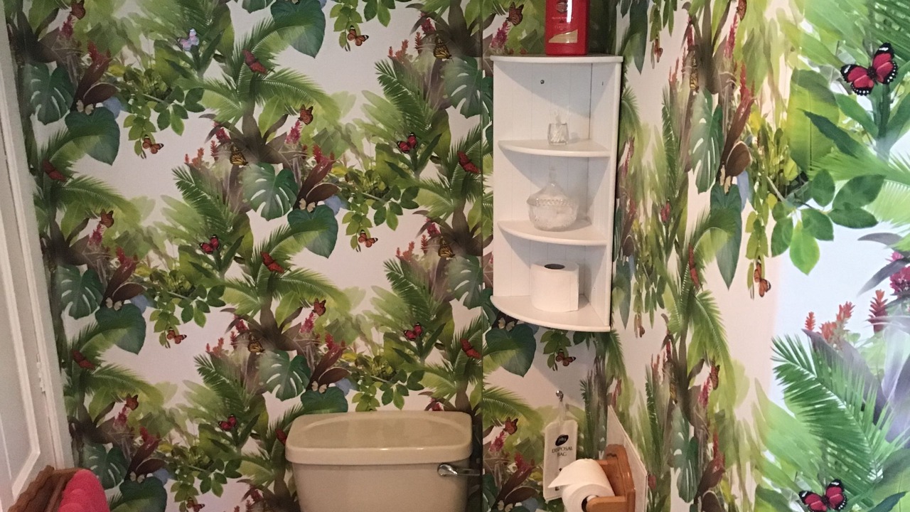 Photo of Others in Jedburgh