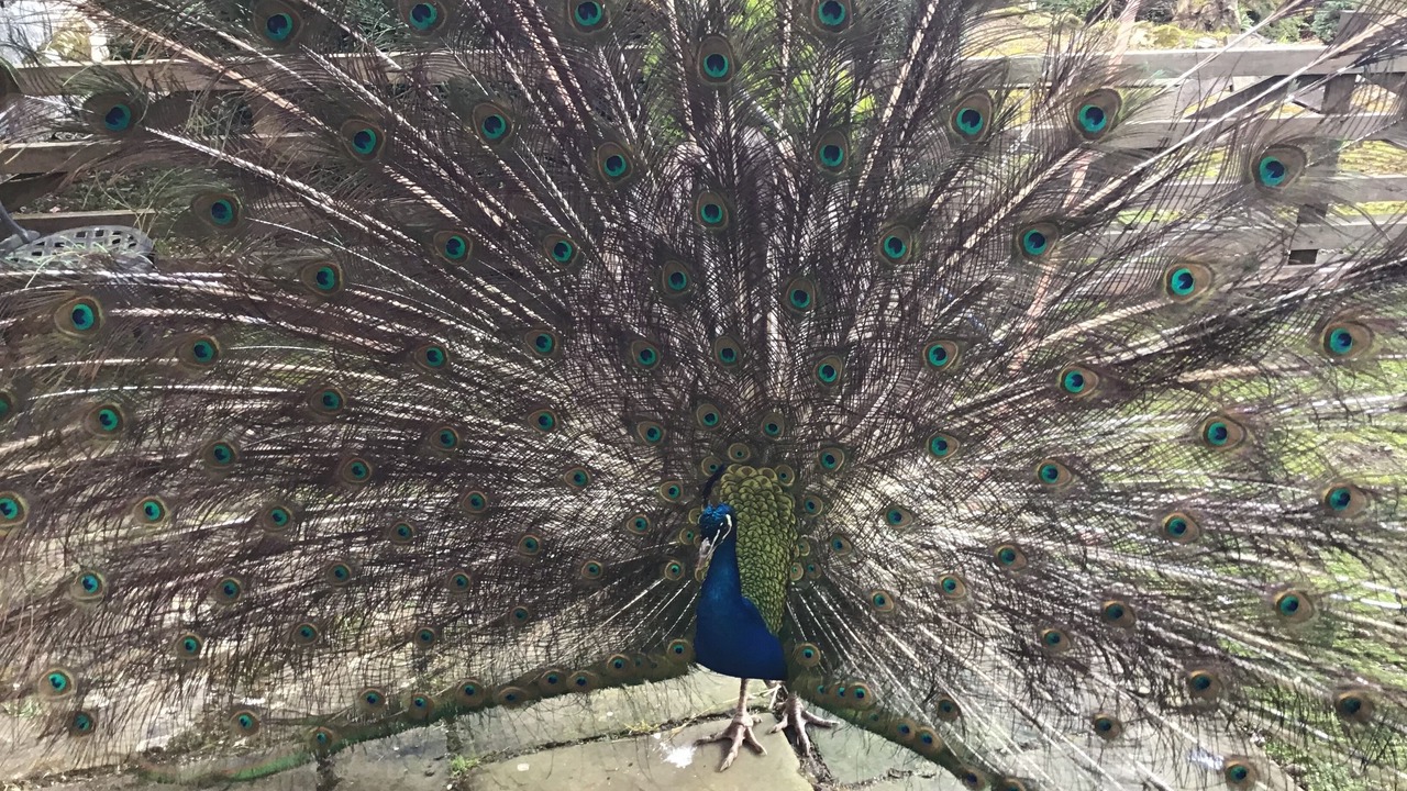 Photo of Outdoor in Jedburgh