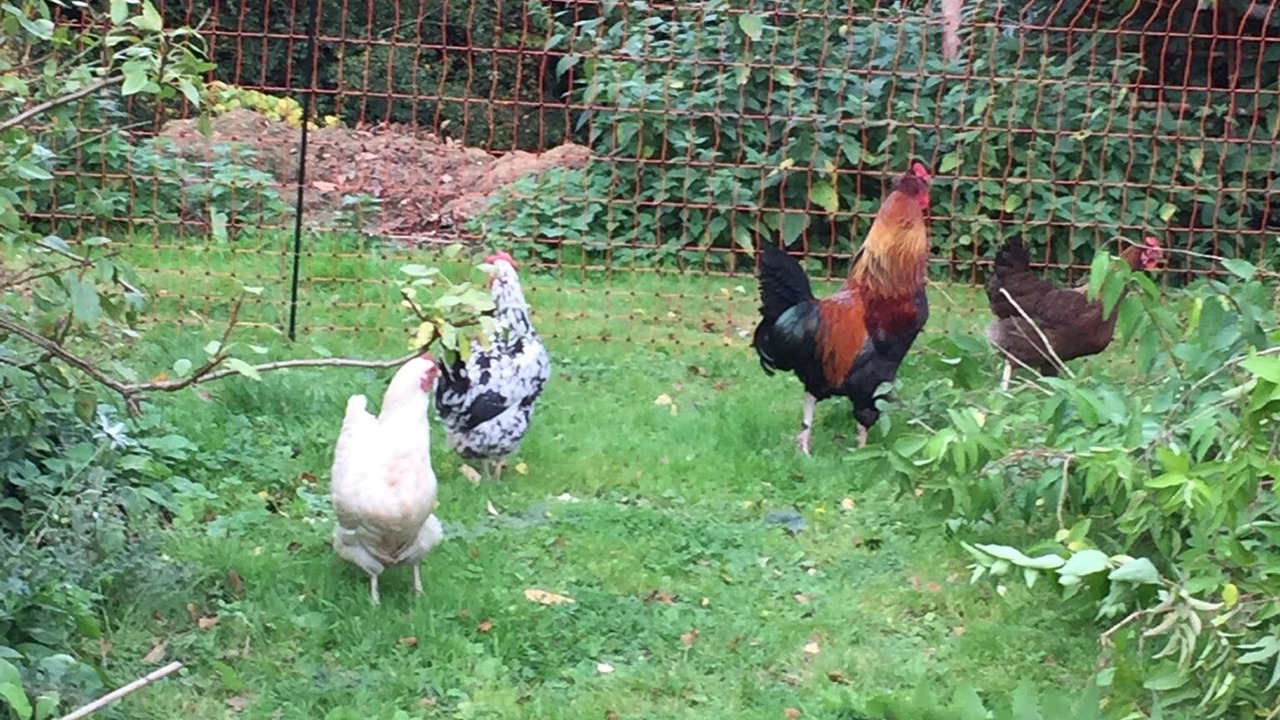 Photo of Outdoor in Jedburgh