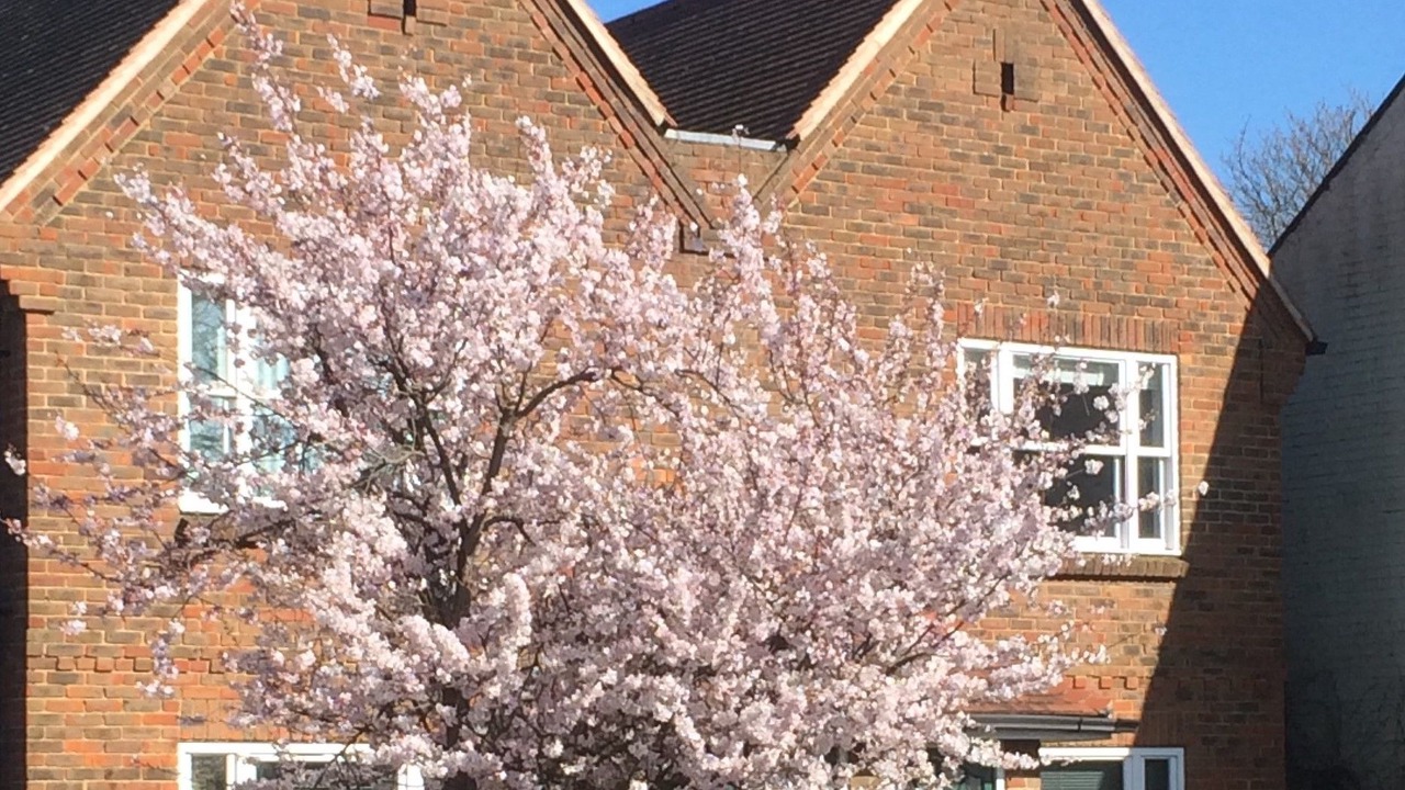 Photo of Buildings in Summertown