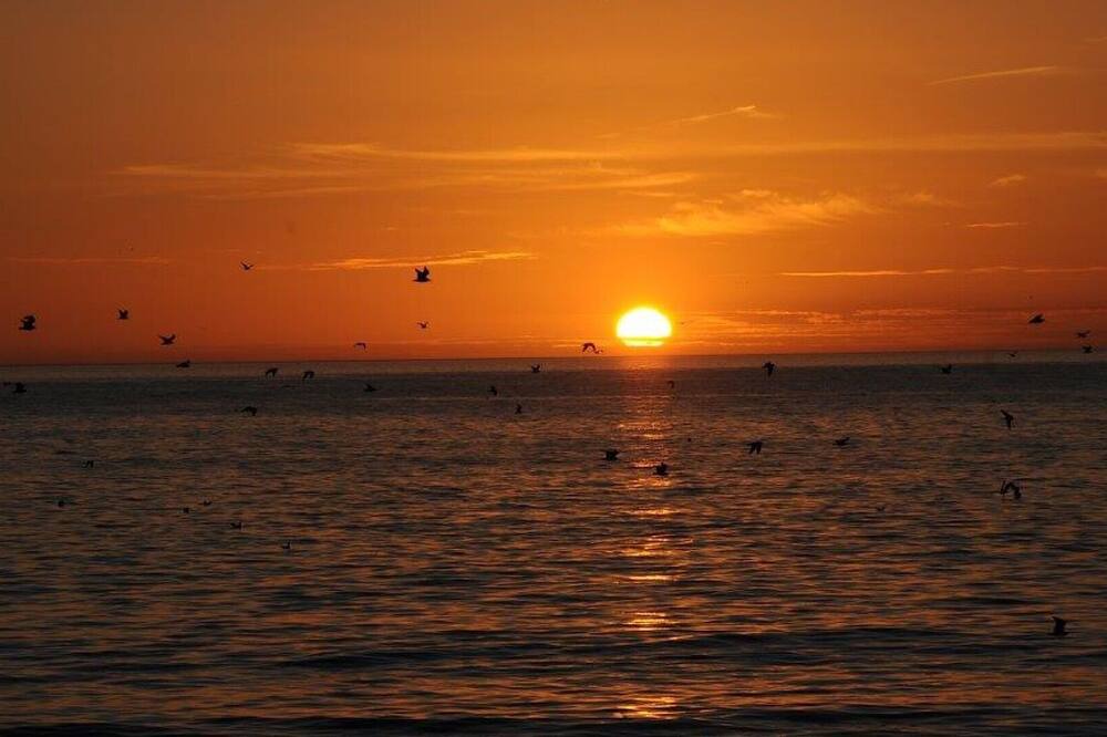 Photo of Others in Siesta Key