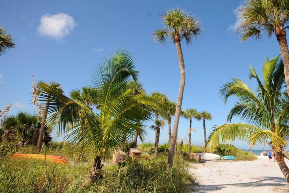 Photo of Outdoor in Siesta Key