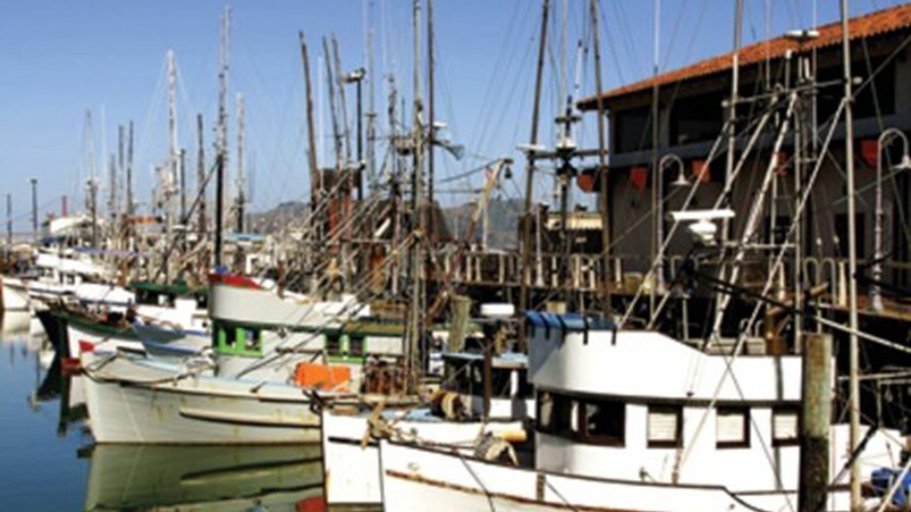 Photo of Others in Chinatown