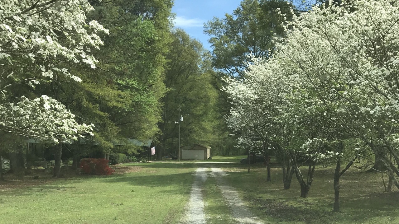 Photo of Outdoor in Bethlehem