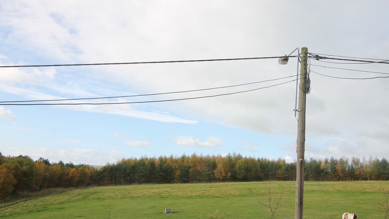 Photo of Others in Durham