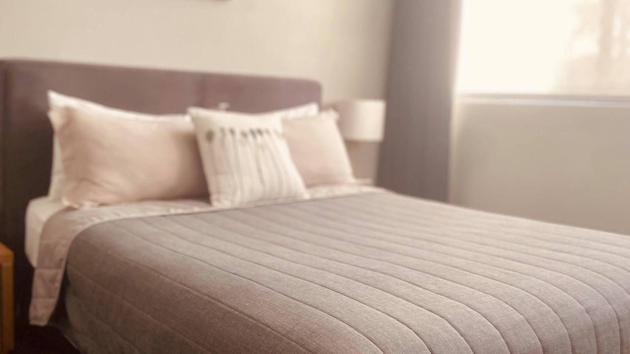 Photo of Others in East Maitland