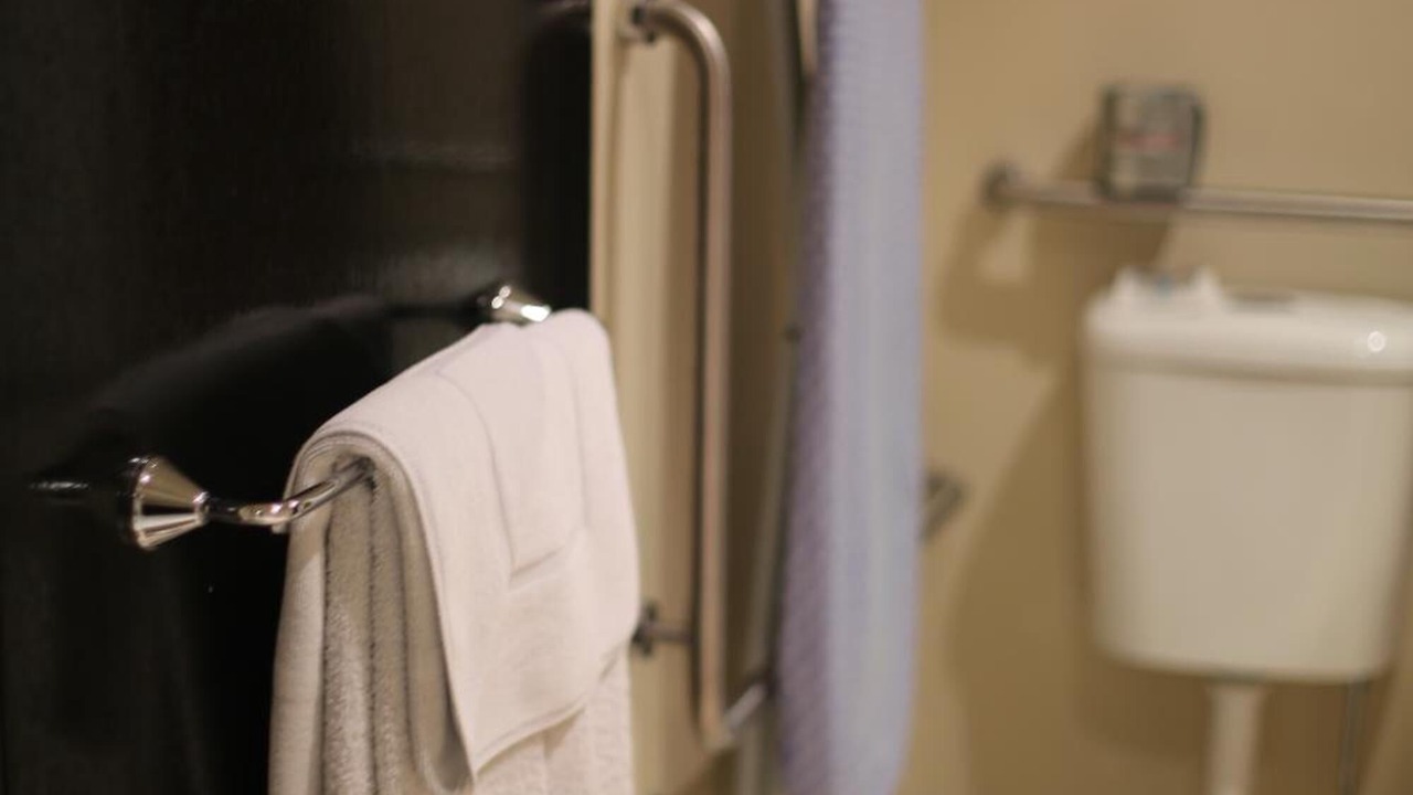 Photo of Others in East Maitland