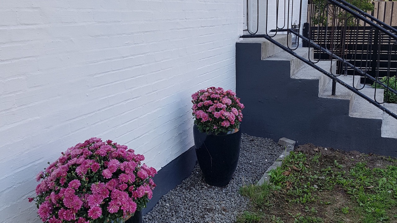 Photo of Outdoor in Koge