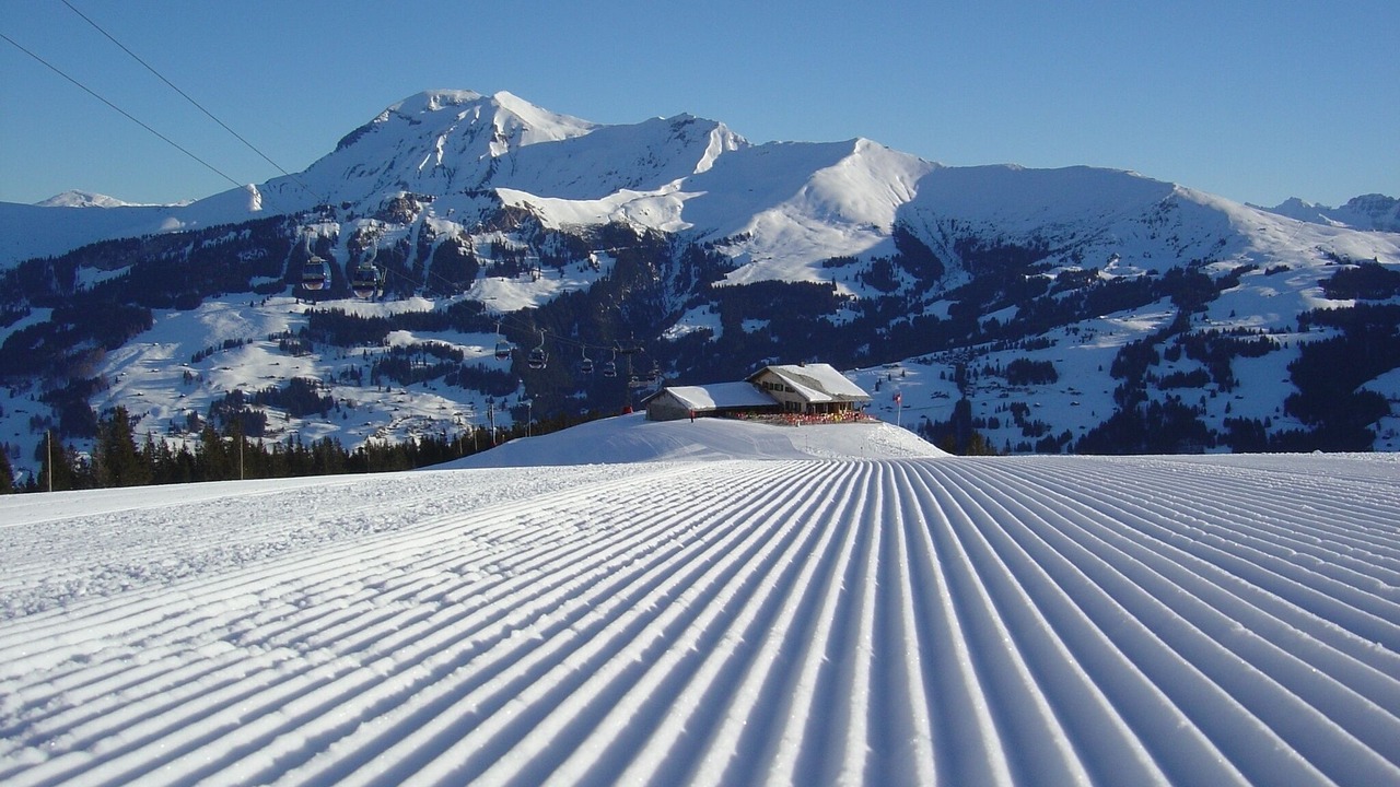 Photo of Others in Lenk