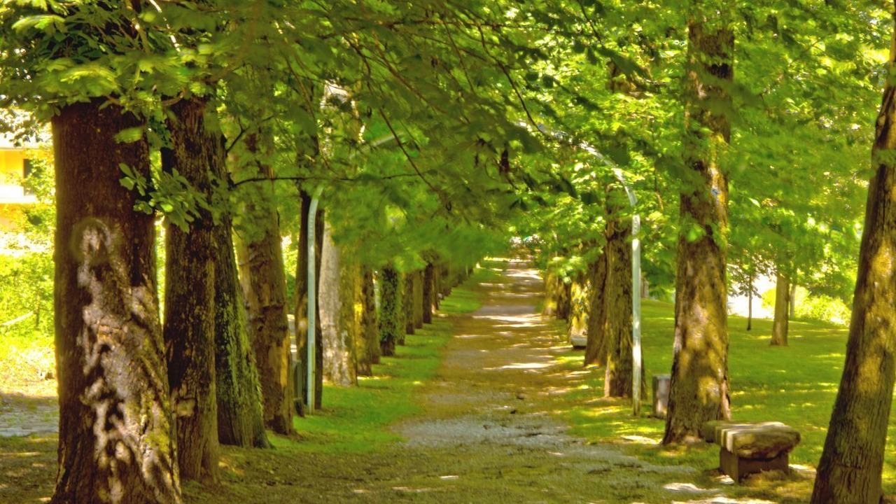 Photo of Outdoor in Camprodon